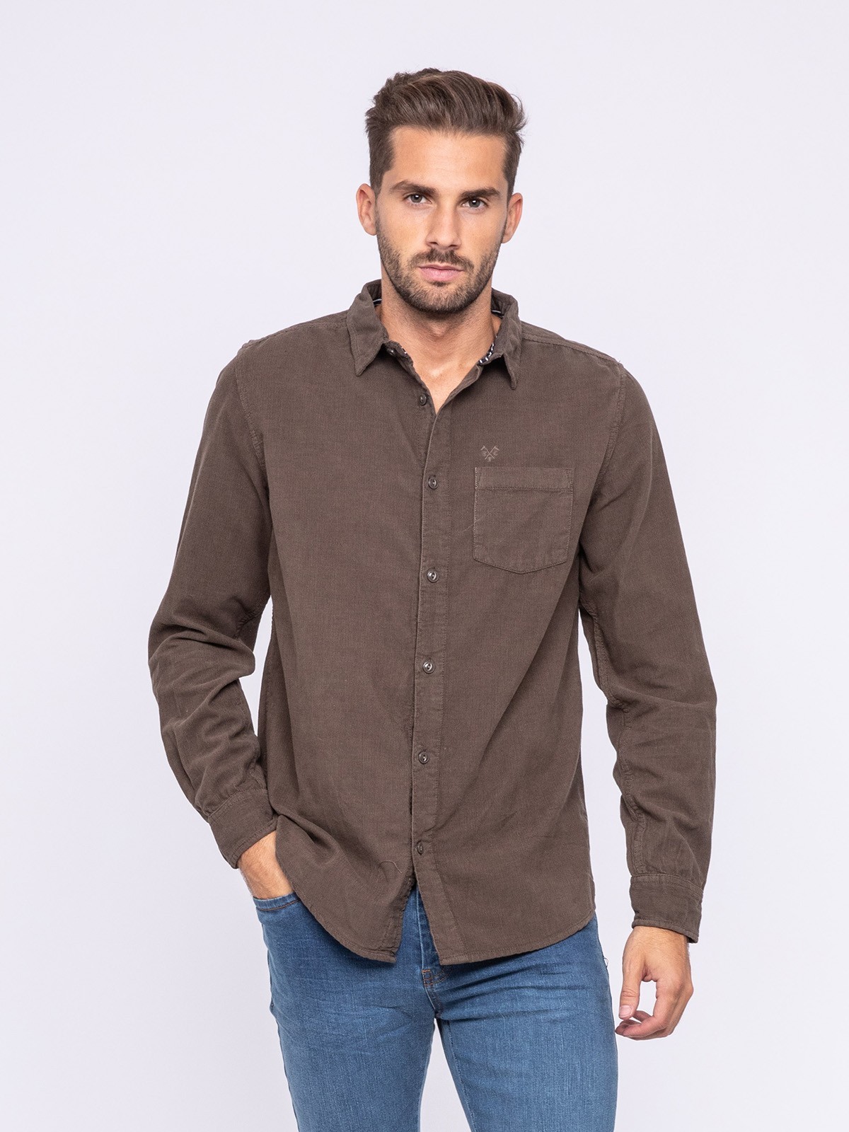 Chemise manches longues pur coton velours TRESOR