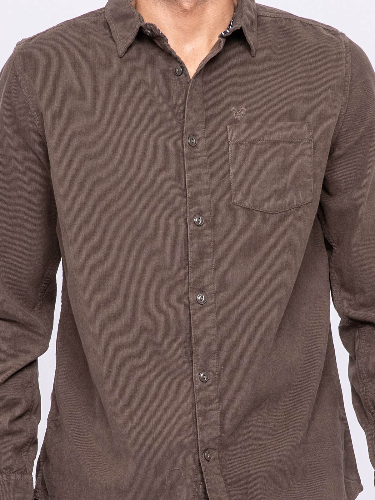 Chemise manches longues pur coton velours TRESOR