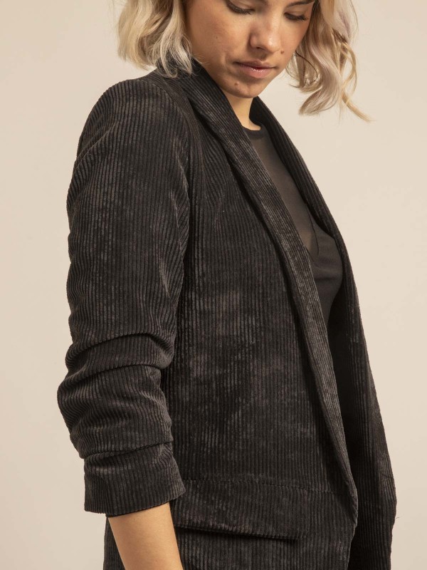 Blazer velours manches...